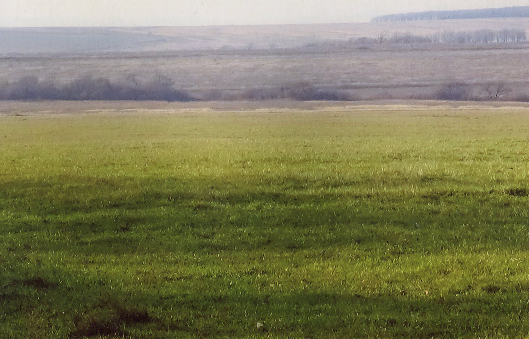 Grazing land